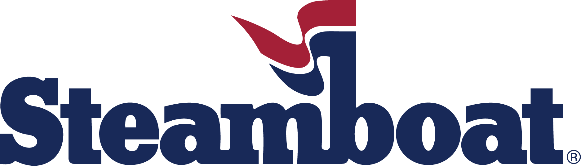 Director of Risk and Safety